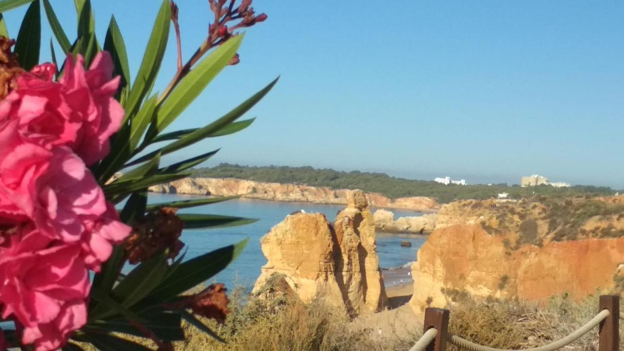 Albur Village B - Lotus Alvor Εξωτερικό φωτογραφία
